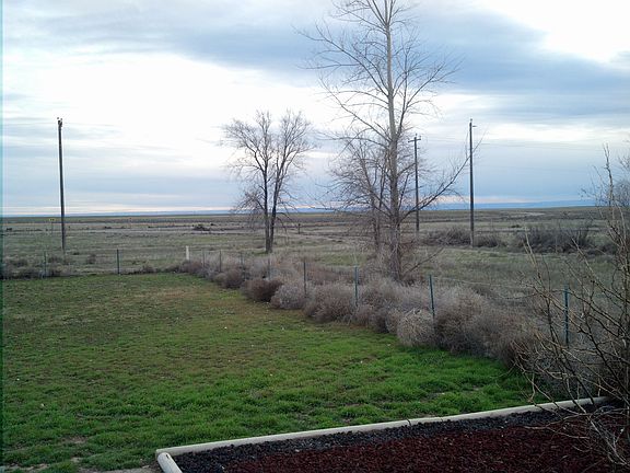 Front Yard Looking Out