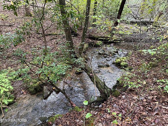 2nd image of 0 White Oak Rd Lot 5