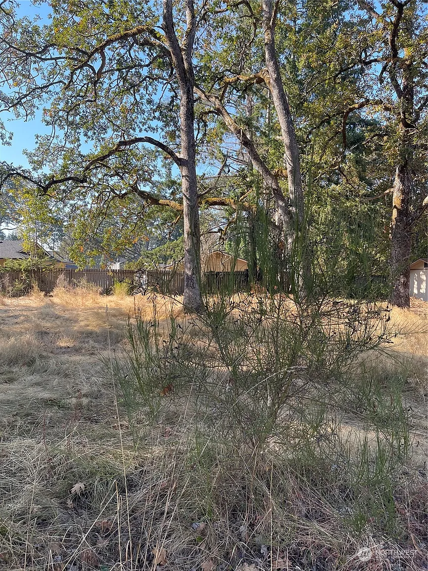 8602 Bridgeport Way SW Lot 3 photo 1