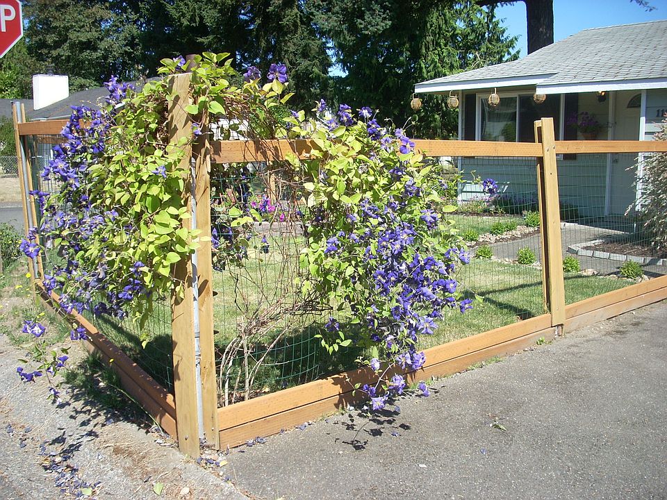 1st image of 11802 SE 316th Pl