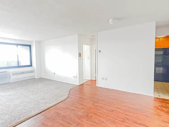 333 Pearl Street 22M image 16 of 17