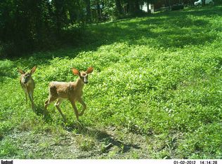 966 S Thompsonville Rd, Thompsonville, IL 62890