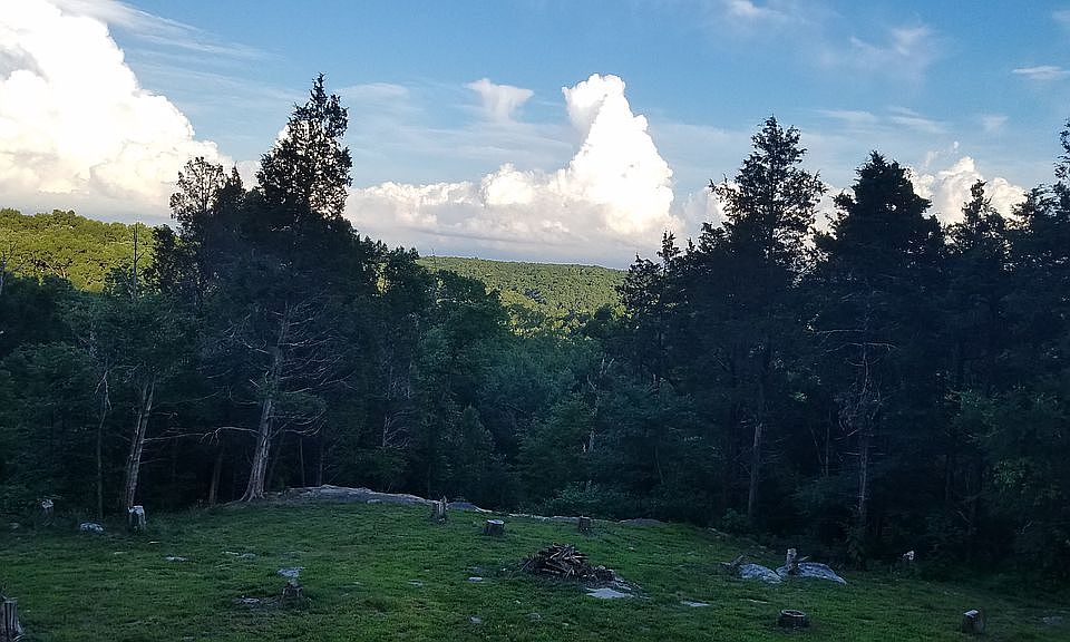 82 Bruce Johnson Rd, Herod, IL 62947 Zillow