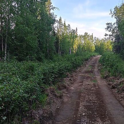 S Dairy loop