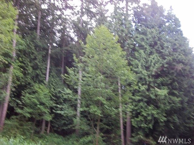 2nd image of 16000 E Lake Goodwin Rd