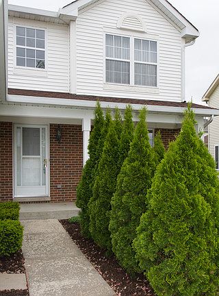 2nd image of 798 Meadowridge Dr