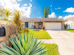 3104 Indigo Pl, Seffner, FL 33584