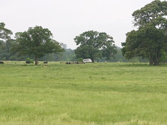 Improved Pastures