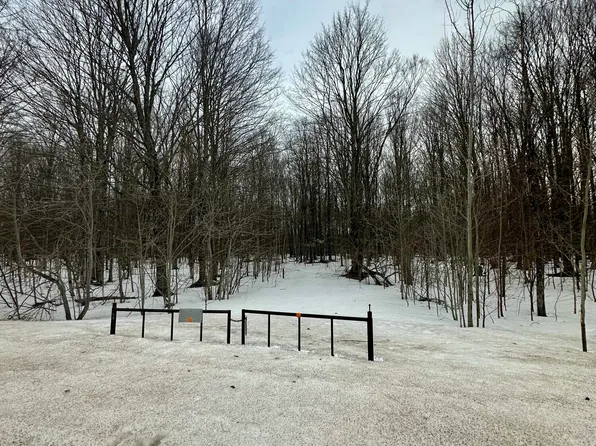 10694 County Road 612 NE, Kalkaska, MI 49646