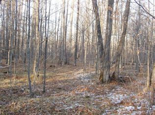 73723 Bear Lake Rd, Butternut, WI 54514