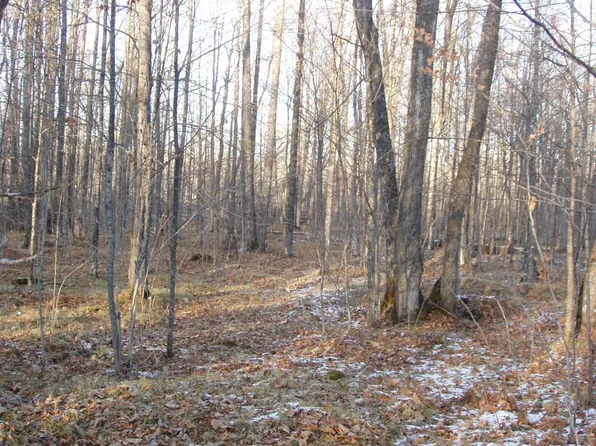 73723 Bear Lake Rd, Butternut, WI 54514