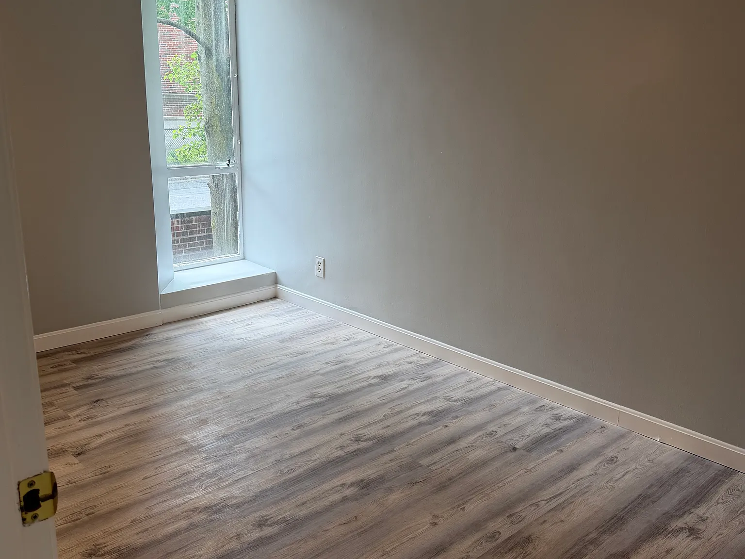 1 bed, 495 sqft, $3,000 — Photo 4