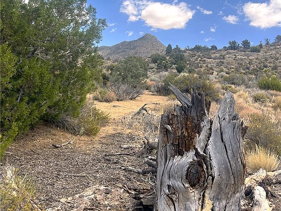 4th image of 0 Pine Hollow Rd