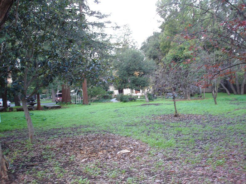 1st image of 220 Park Ln