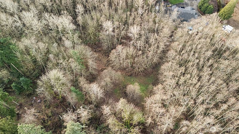 3rd image of 9682 Sherwood Drive