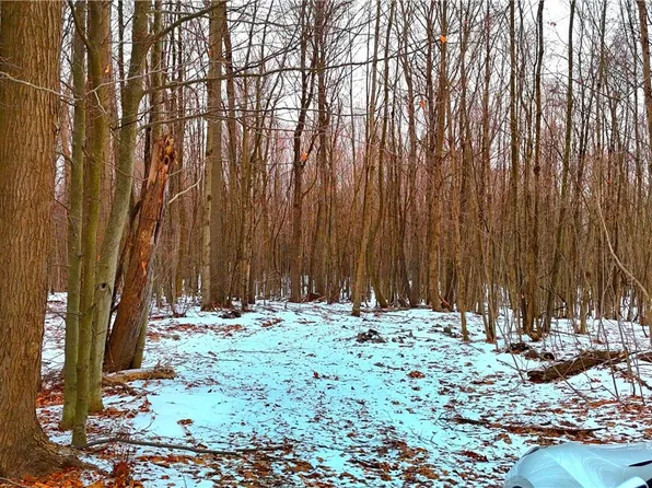 3777 S Ridge Rd, Kingsville, OH 44048