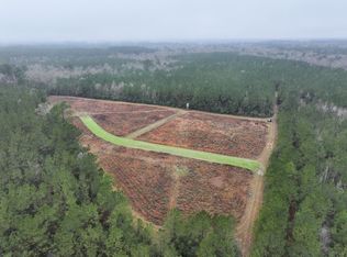 Conrad Hebert Rd LOT WP001, Amite, LA 70422