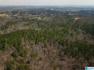 0 Bone Dry Rd #1, Warrior, AL 35180