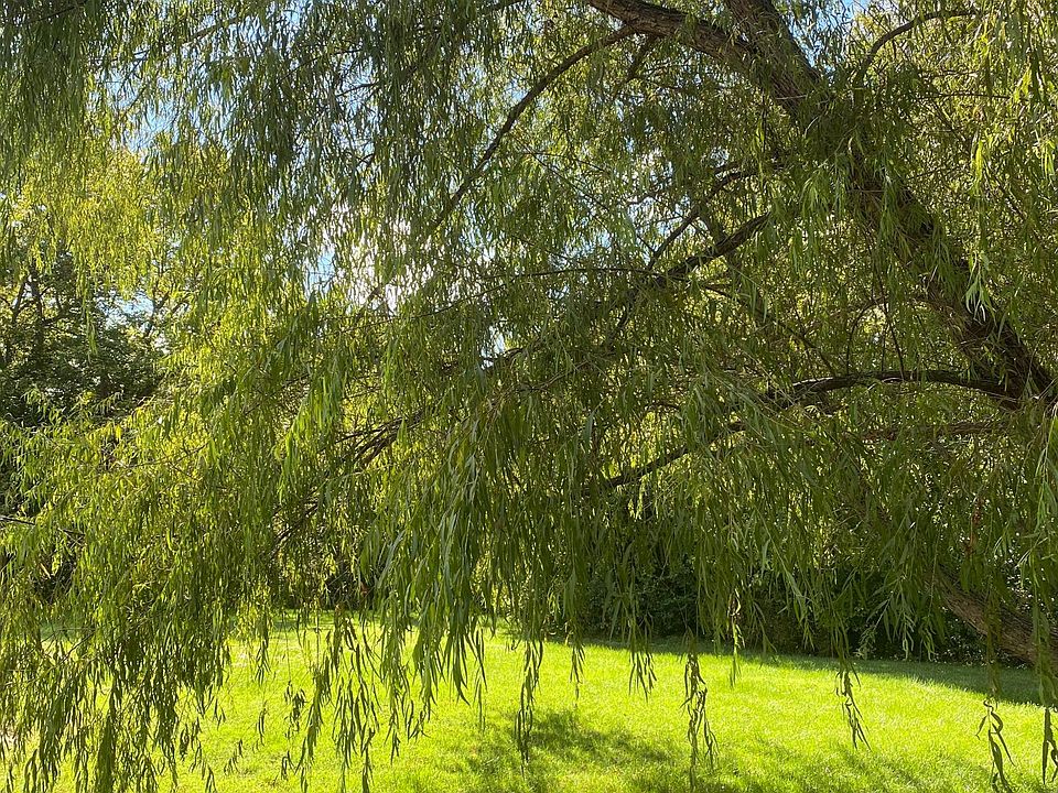 Green area at the end of the complex