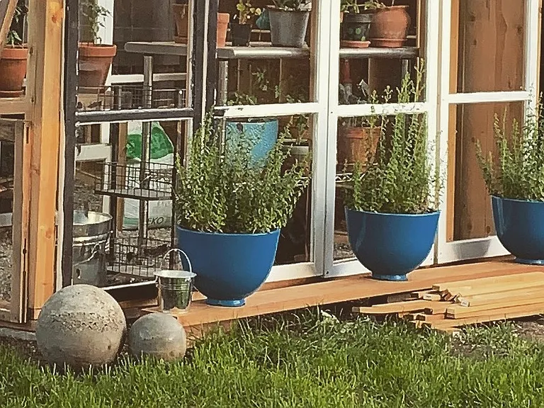 Greenhouse
