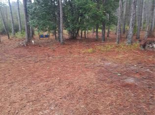 540 SW 326th Ave #340, Steinhatchee, FL 32359