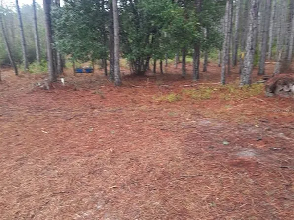 540 SW 326th Ave #340, Steinhatchee, FL 32359