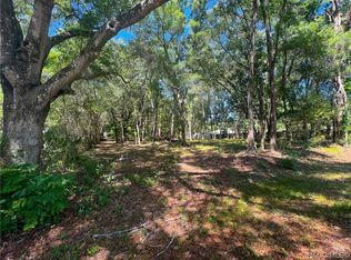 3965 E Walker St, Inverness, FL 34453