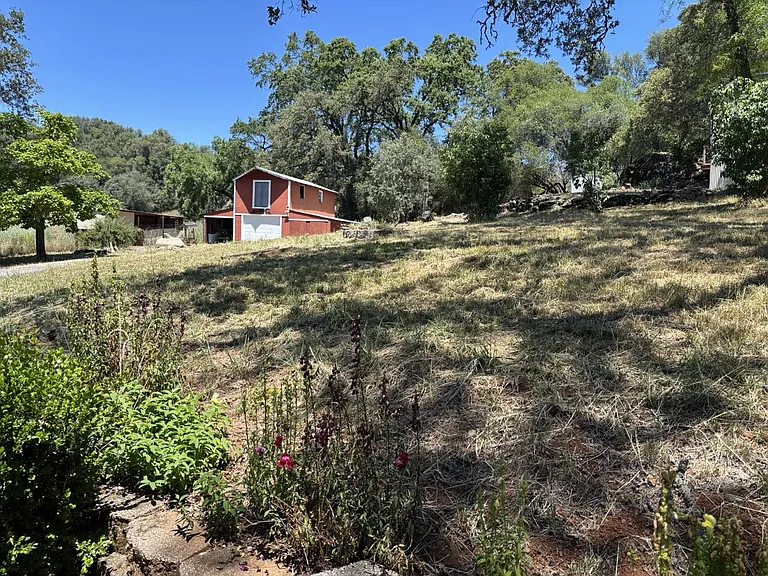 1782 Lotus Rd — Photo 18