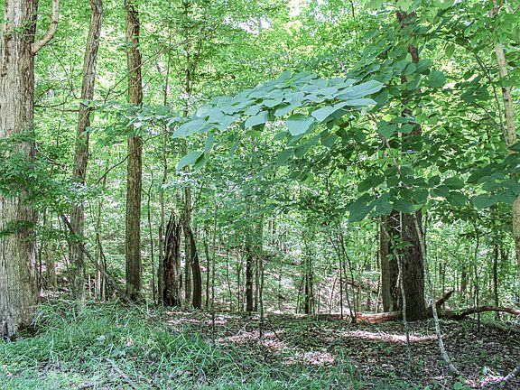 5th image of 0 Algonquin Rd