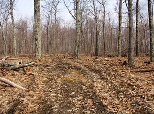 333 Dodge Lodge Rd, Richmondville, NY 12149