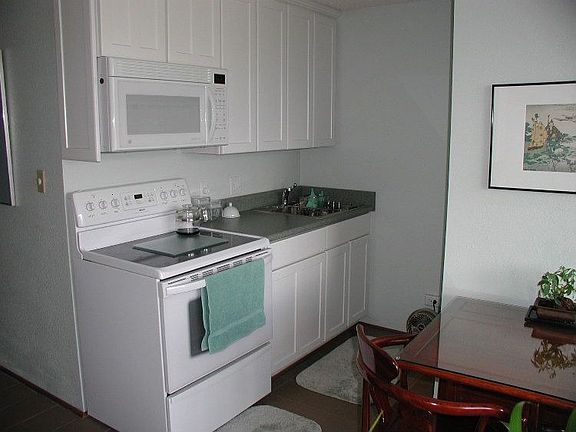 Stove-Micro-Sink Galley Kitchen View