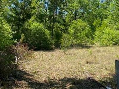 416 NE Hillside Ter, Lee, FL, 32059
