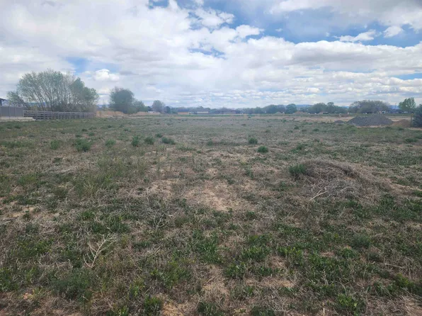 1206 Lazy V Ln, Fruita, CO 81521