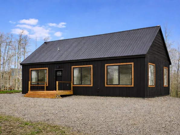 3538 High Creek Rd, Fairplay, CO 80440