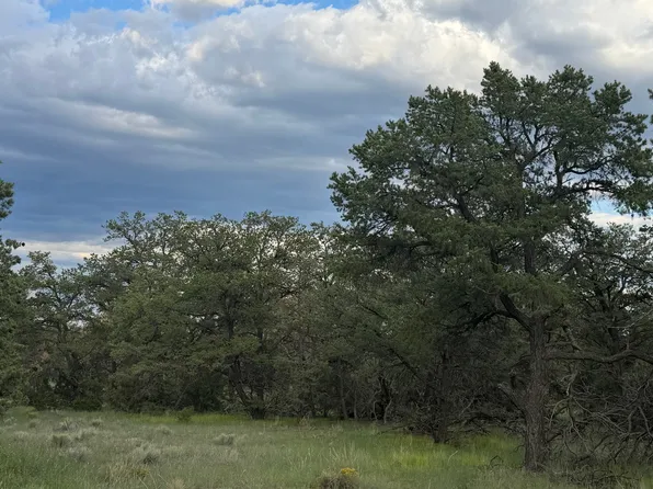 62 Dreamcatcher Dr #45, Fence Lake, NM 87315
