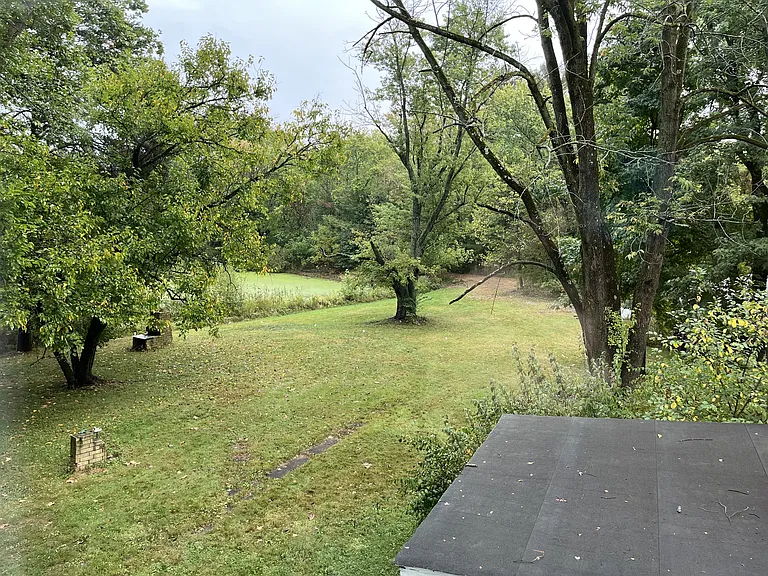 Overview of the backyard.