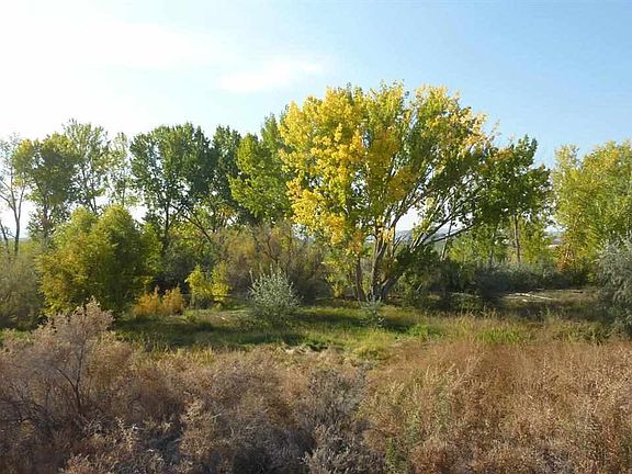 5th image of 40 Ac Tbd Hunt Ln