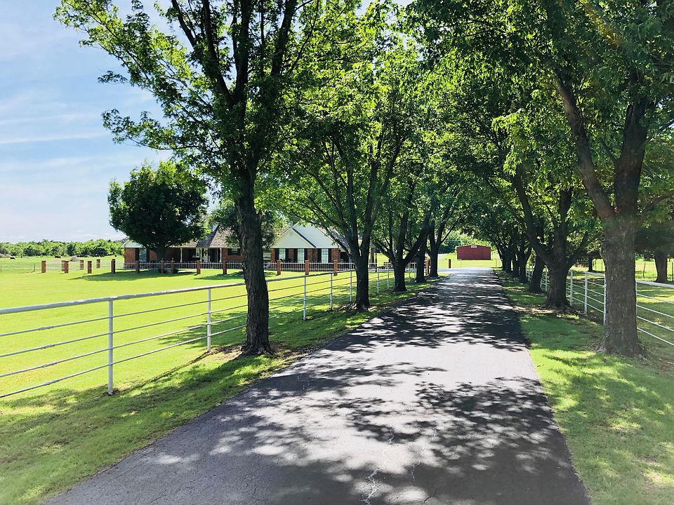 Maple tree lined driveway