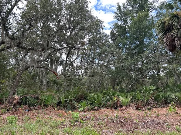 PETERSON ROAD LOT 2, PIERSON, FL 32180