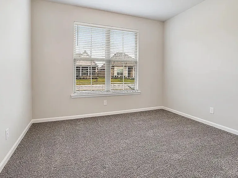 1138 Foxtail Dr — Photo 8