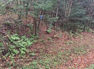 0 S River Rd, Walton, NY 13856