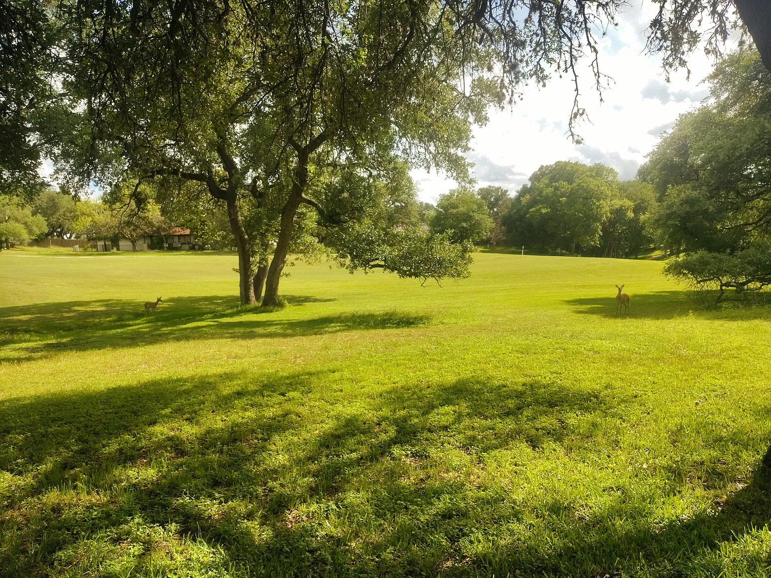 3 bed, 1619 sqft, $2,100 — Photo 3