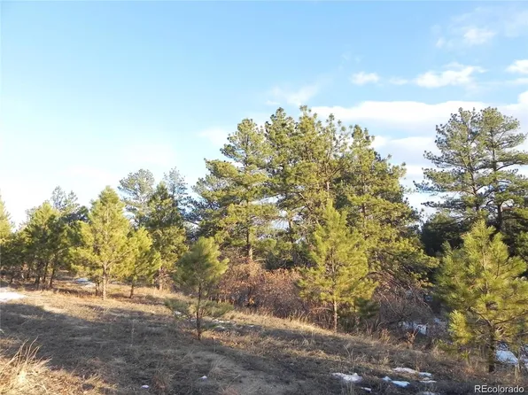2366 Lupine Circle, Larkspur, CO 80118