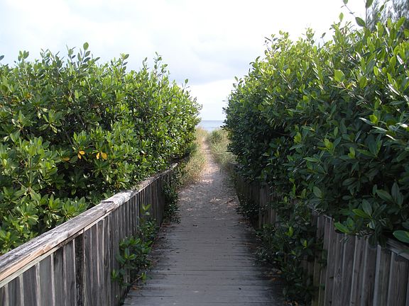 Foot Path to Beach