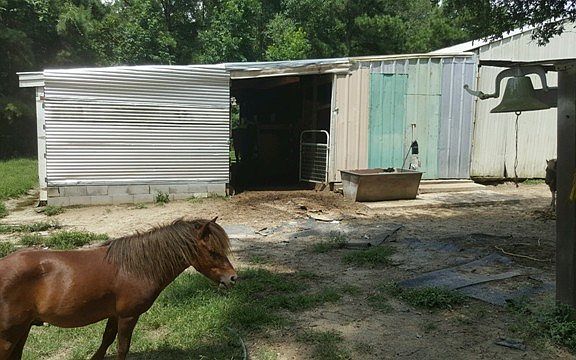 2nd image of 4256 Uchee Hill Hwy