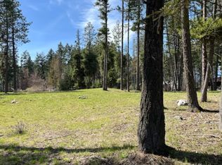 13962 Pine St, Bigfork, MT 59911