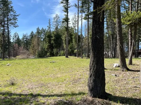 13962 Pine St, Bigfork, MT 59911