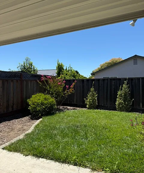 Back yard with automatic sprinklers.
