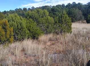 85 Jesse James Rd, Edgewood, NM 87015