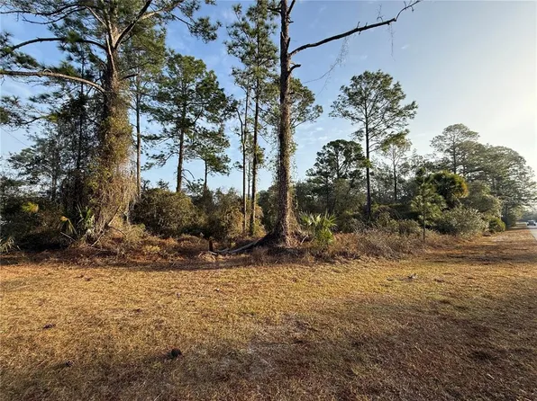 W Thyme Ave Lot 2800, Eustis, FL 32736